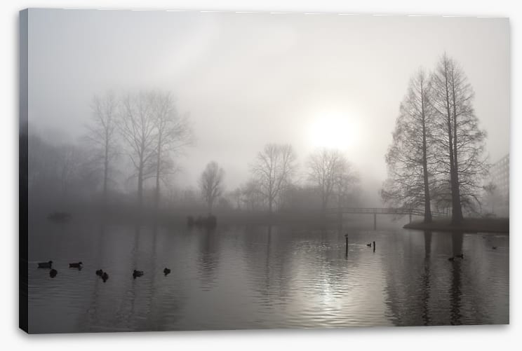 Silhouettes in the morning fog