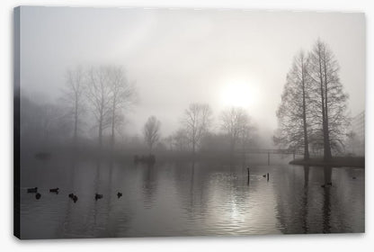 Silhouettes in the morning fog