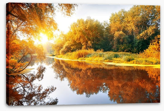 Autumn forest reflections