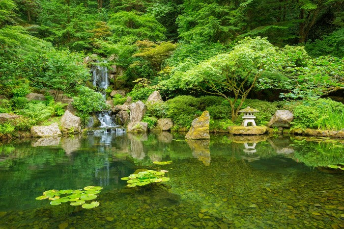 Zen garden in Spring