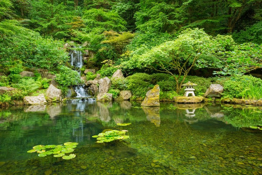 Zen garden in Spring