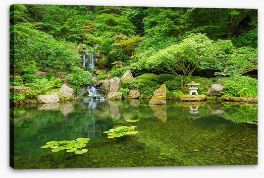 Zen garden in Spring