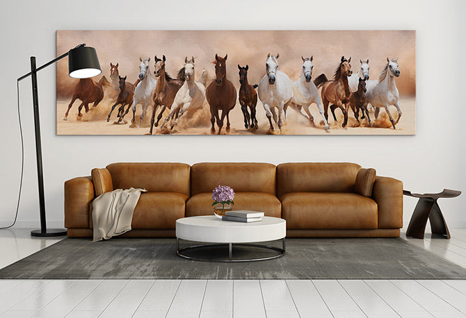 Galloping panoramic