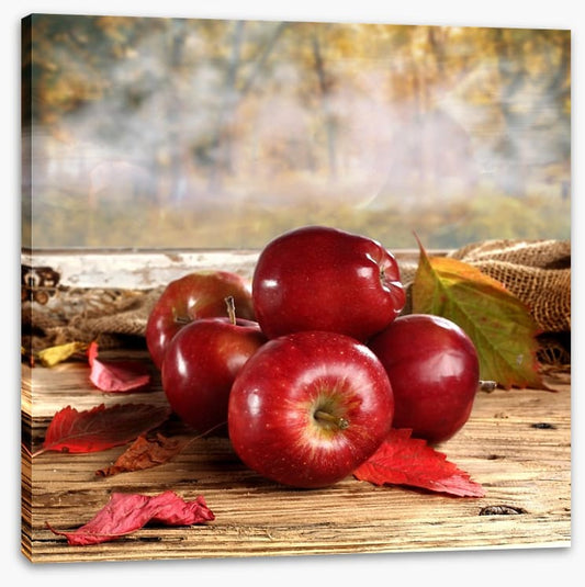 Shiny red apples