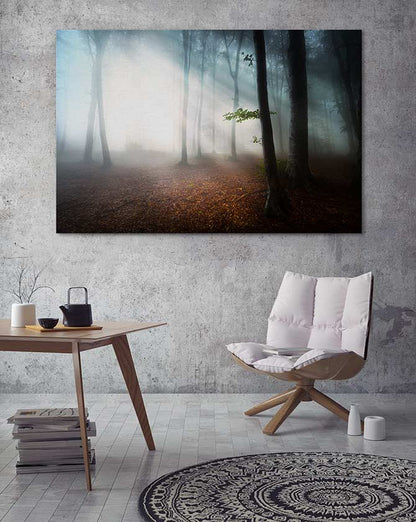 Fog in the forest