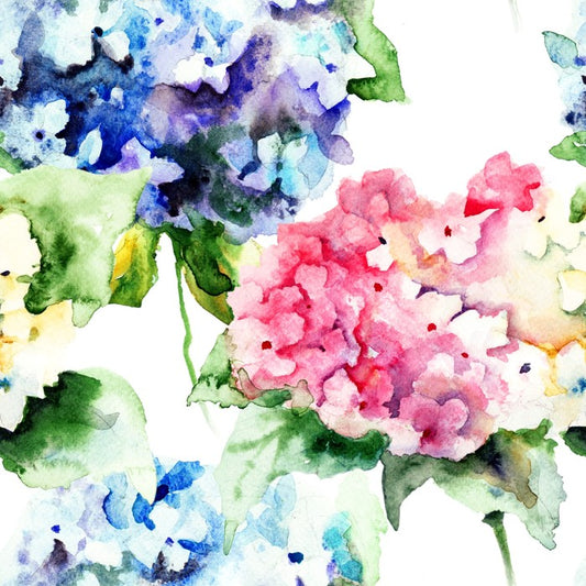 Hydrangea flowers