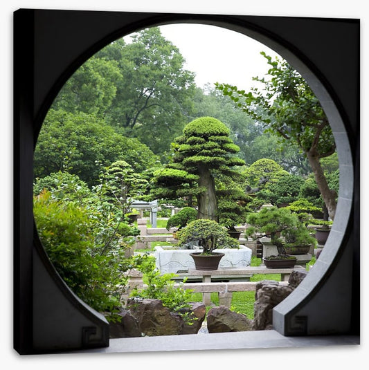The bonsai garden