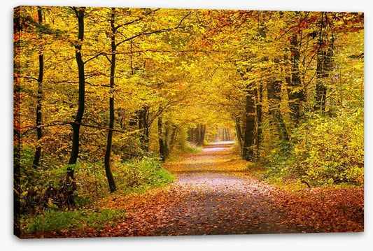 Golden forest