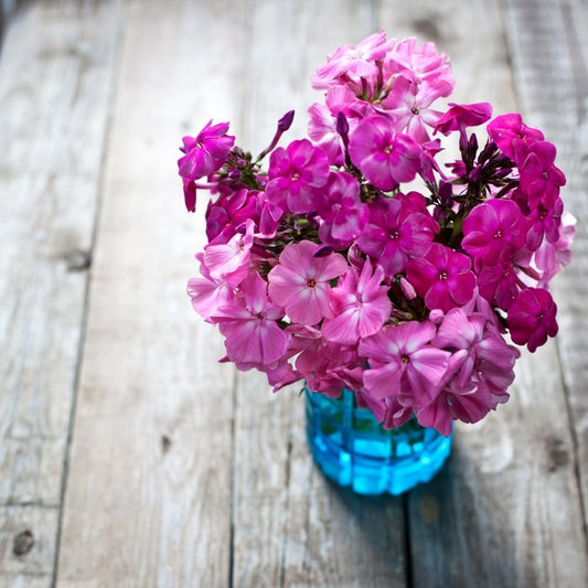 Pink flowers