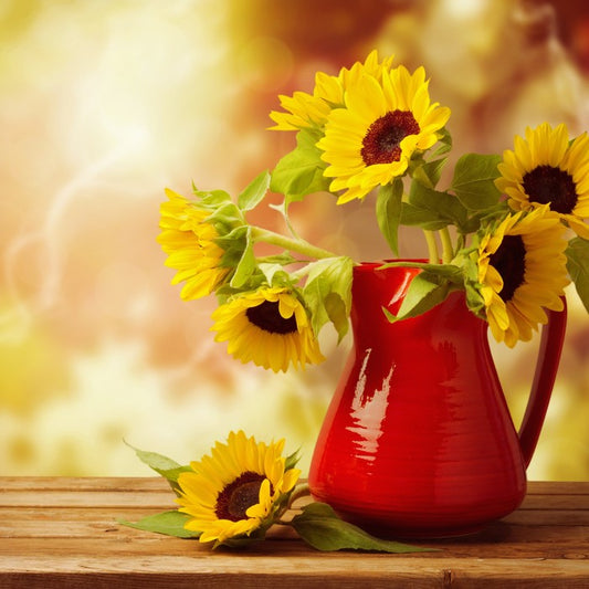 Red jug sunflowers