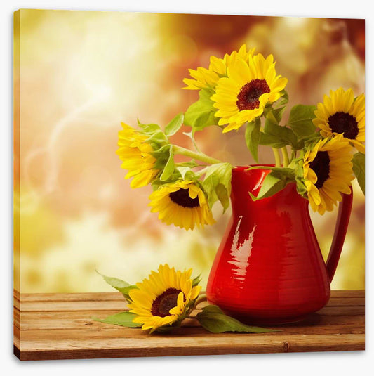 Red jug sunflowers