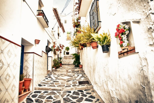 Alley of secrets