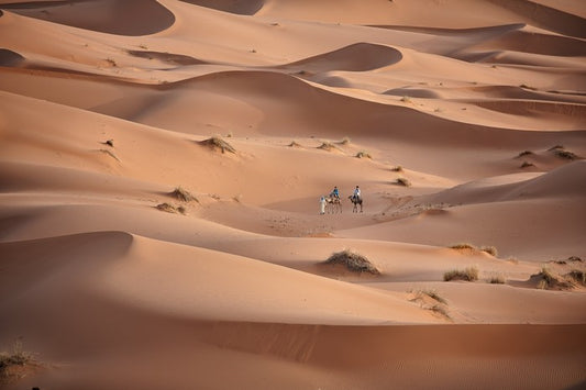 Desert
