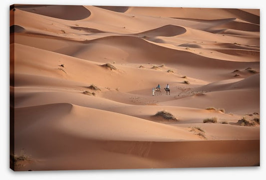 Desert