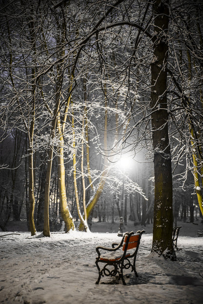Alone in the midnight snow