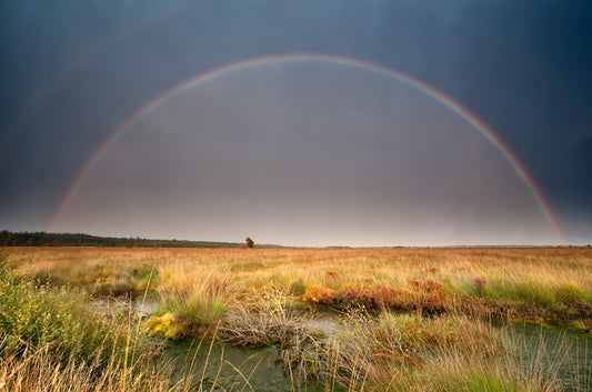Rainbows