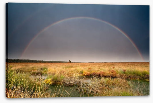 Rainbows