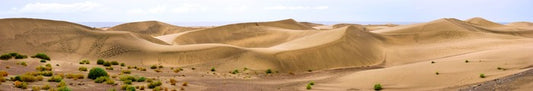 Desert