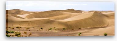 Desert