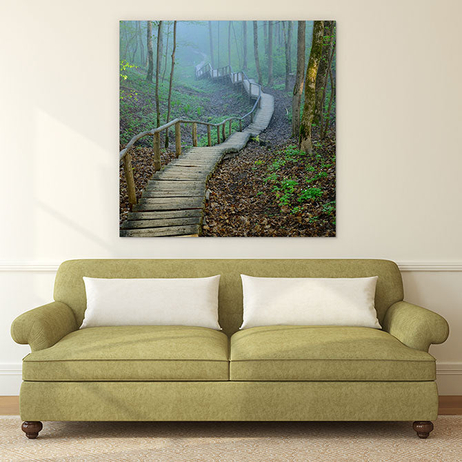 The forest stairway
