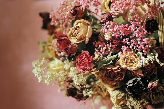 Still Life
