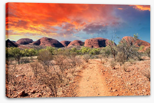 Sunburnt country