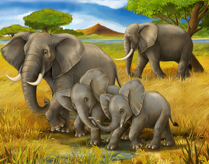 Animal Friends