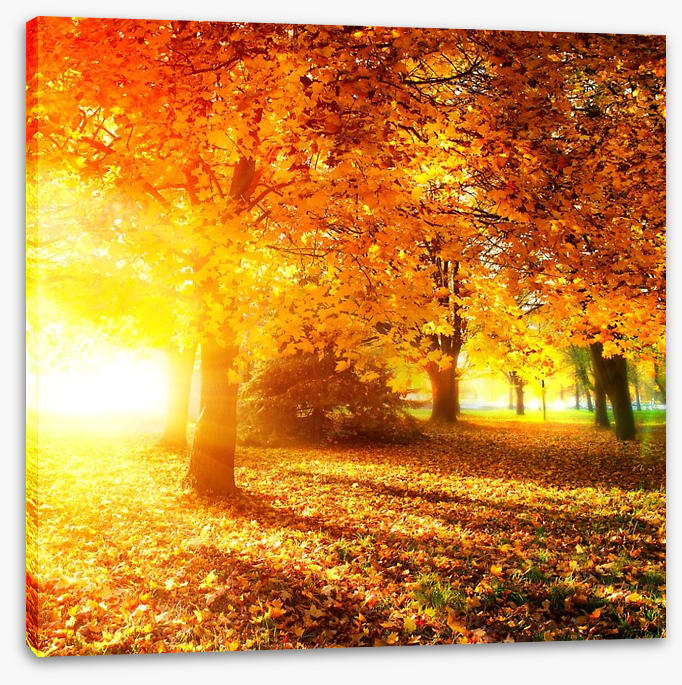 Autumn leaves in sunlight rays