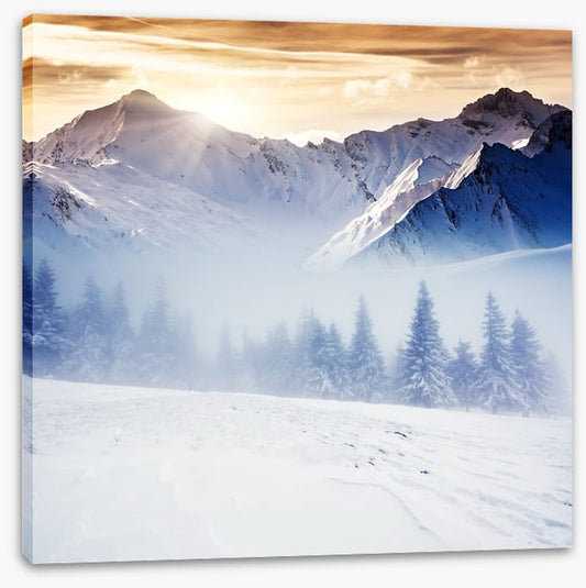Winter in the mountains