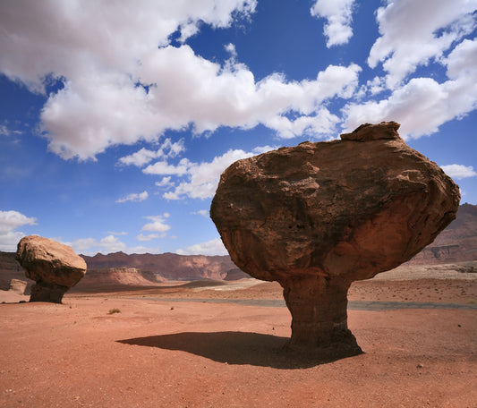 Desert