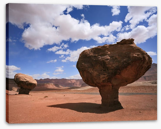 Desert