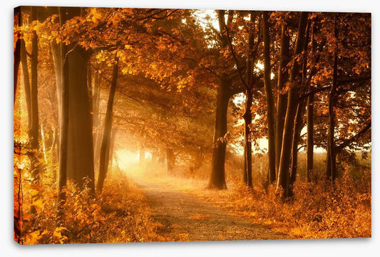 Autumn