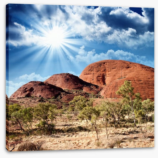 Under the shimmering sun