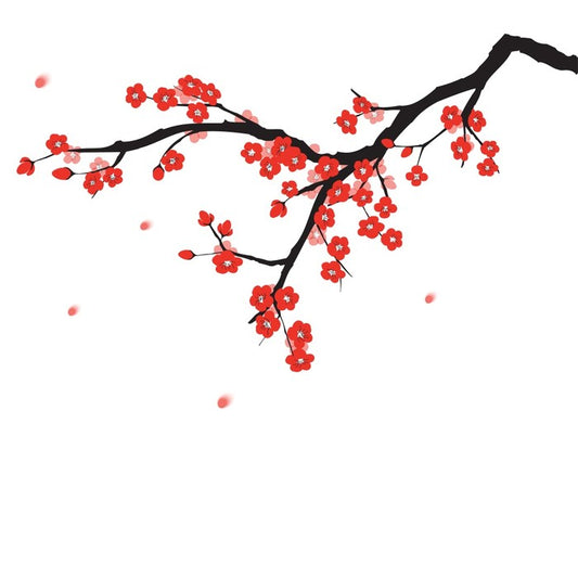 Plum blossoming