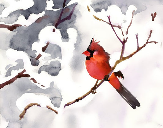 Red snow bird