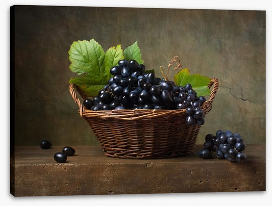 Still Life