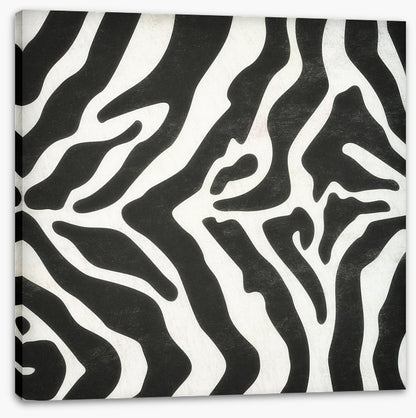 Animal Print