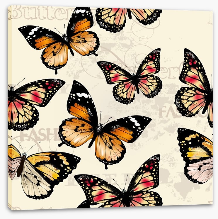 Butterflies