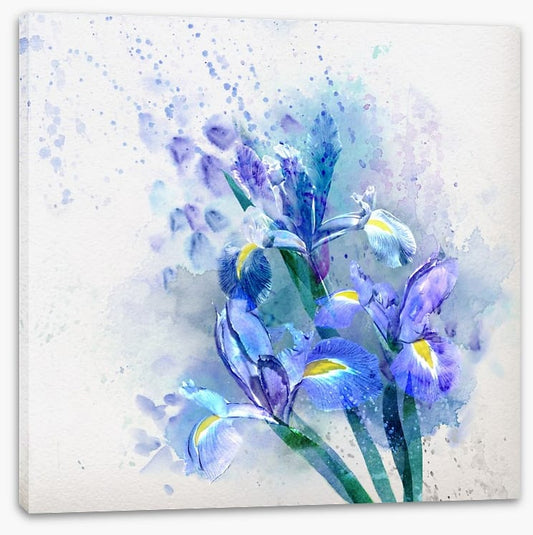 Watercolor iris