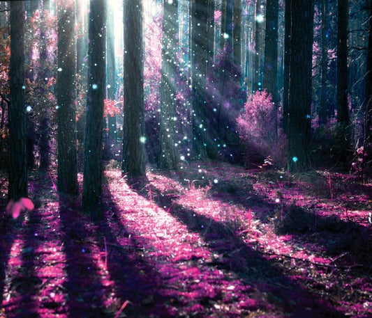 Deep in the magical forest