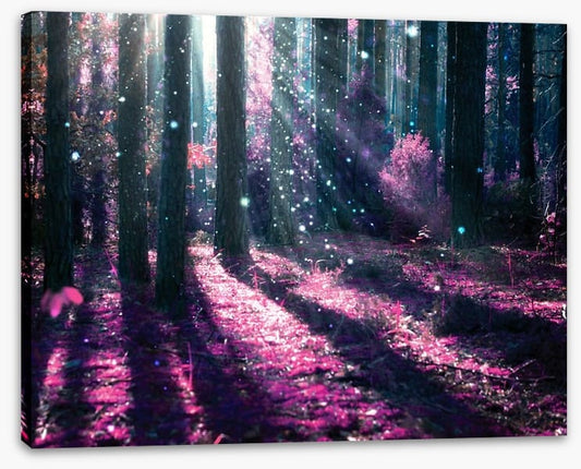Deep in the magical forest