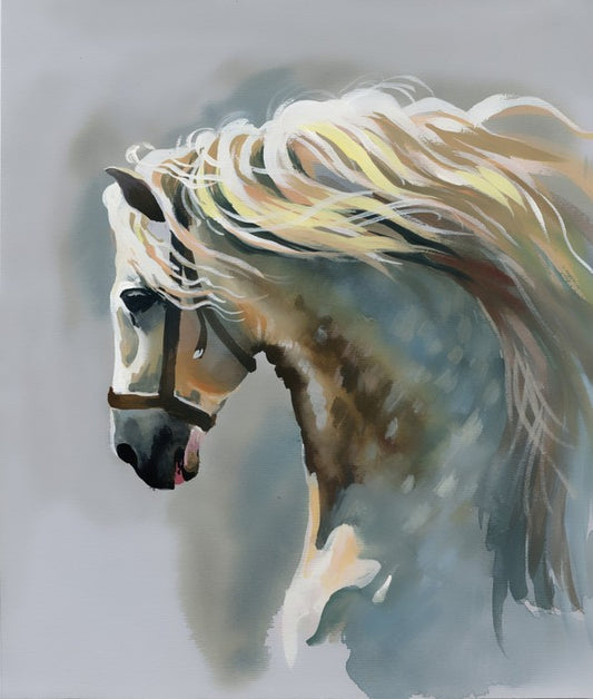 Canter
