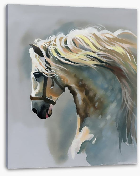 Canter