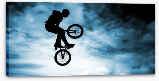 BMX bike silhouette