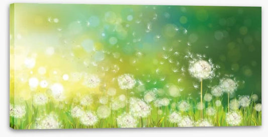 Dandelion wishes