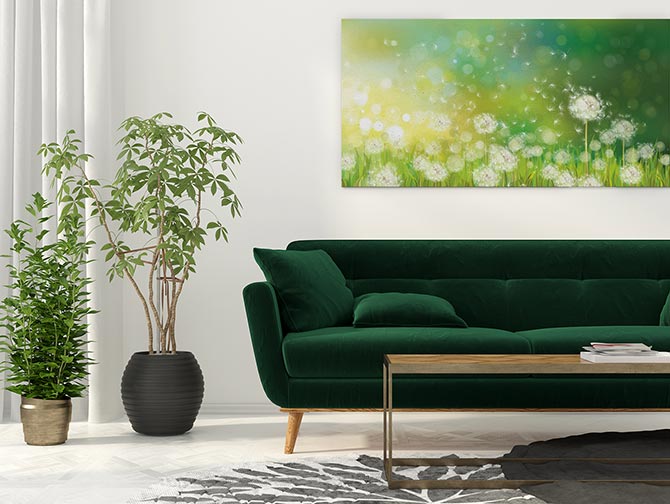 Dandelion wishes