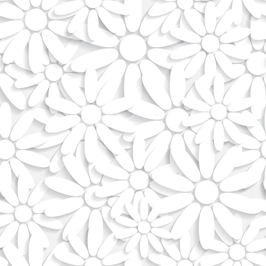 Daisy delight