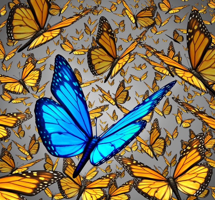 Lord of the butterflies