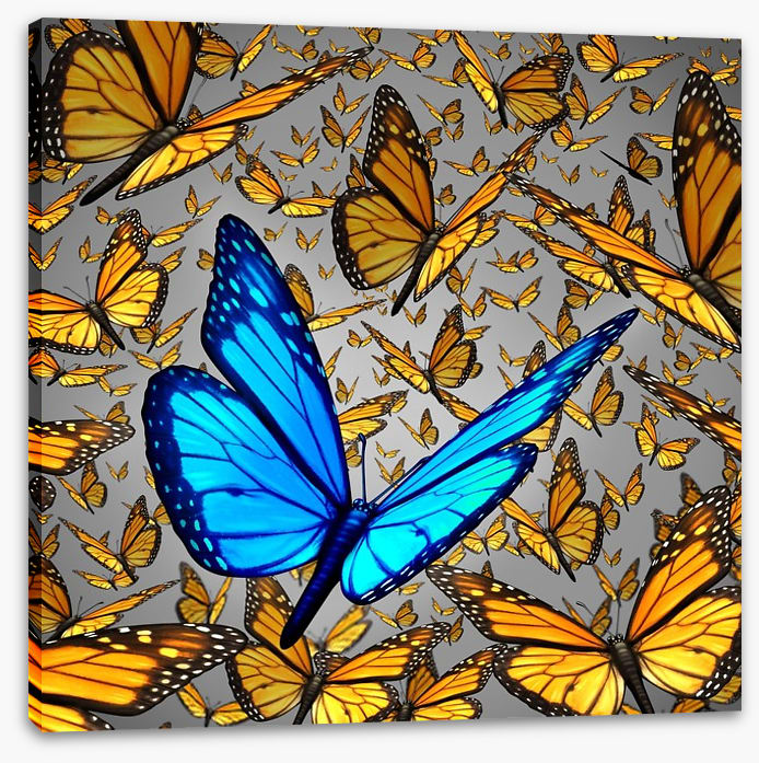 Lord of the butterflies