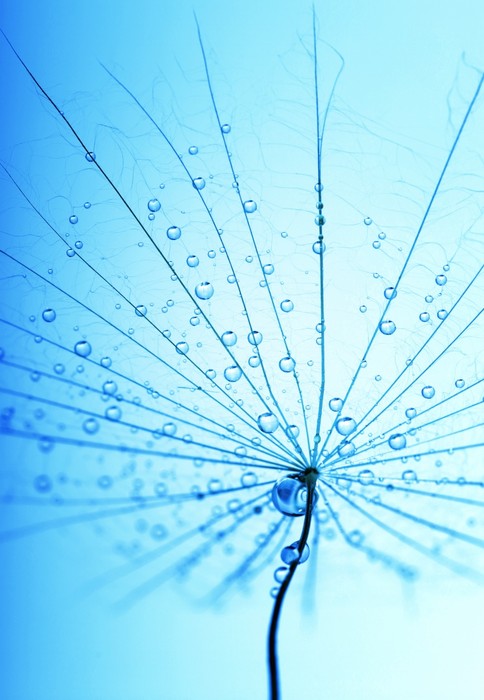 Droplets